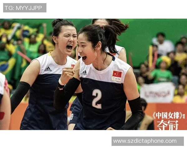 成都排球队选拔赛背后的拼搏故事与奋斗历程揭秘