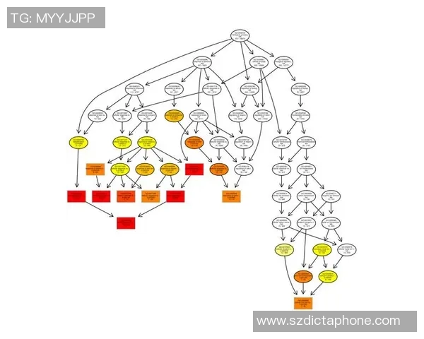 广州篮球队杯赛技术分析与表现评估全面解读
