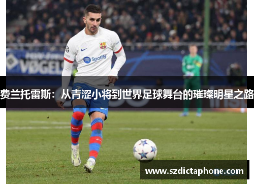 费兰托雷斯：从青涩小将到世界足球舞台的璀璨明星之路