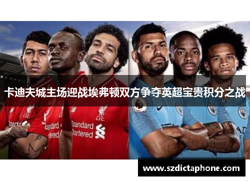 卡迪夫城主场迎战埃弗顿双方争夺英超宝贵积分之战